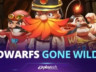 Dwarfs Gone Wild icon